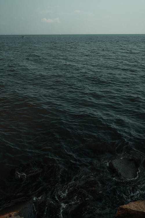 A person standing on the shore of a body of water