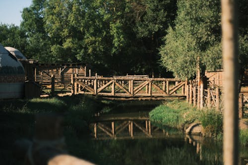 Wooden Bridge over Stream