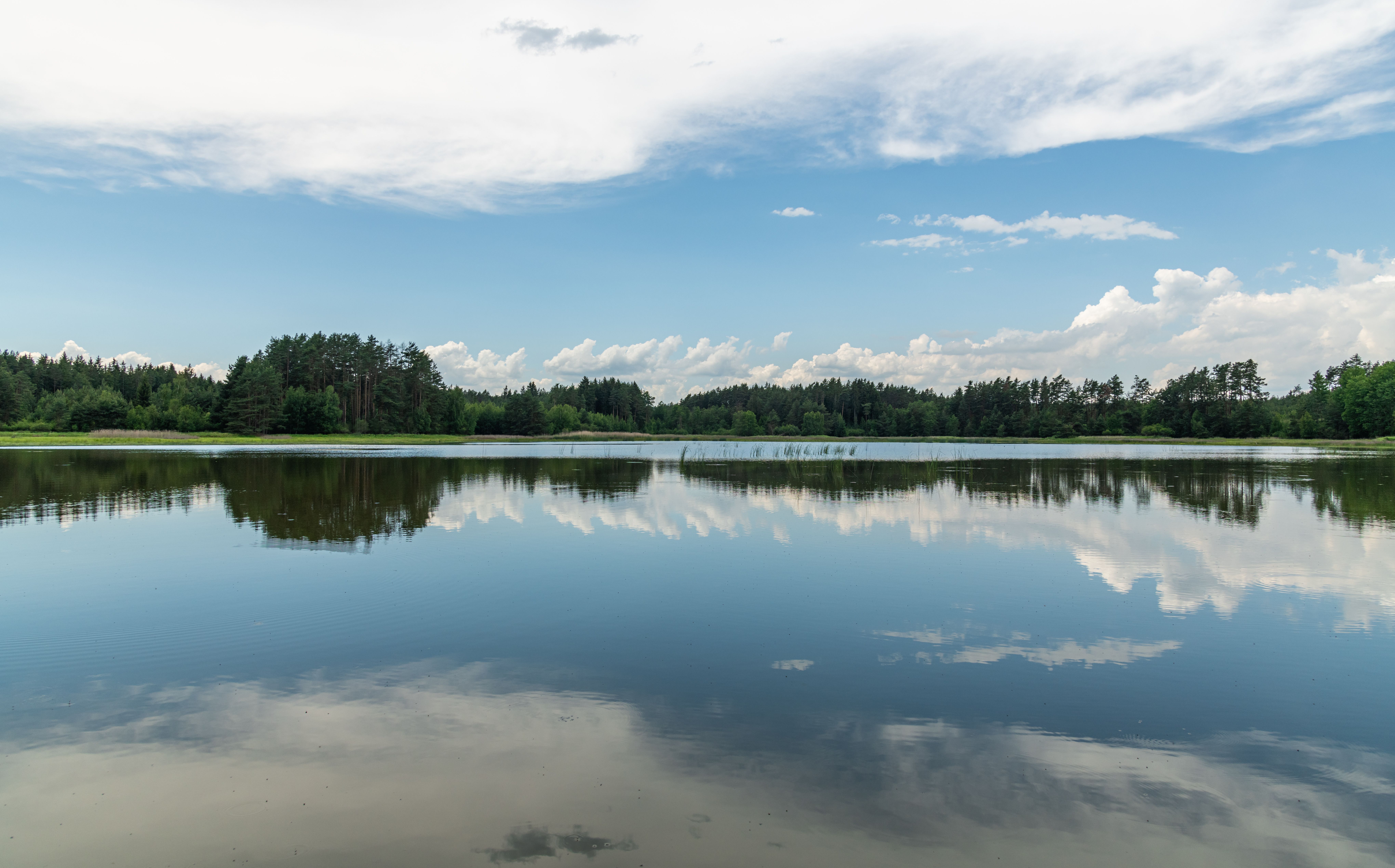 Peaceful lake scene with forest reflection, capturing calm nature and blue sky.