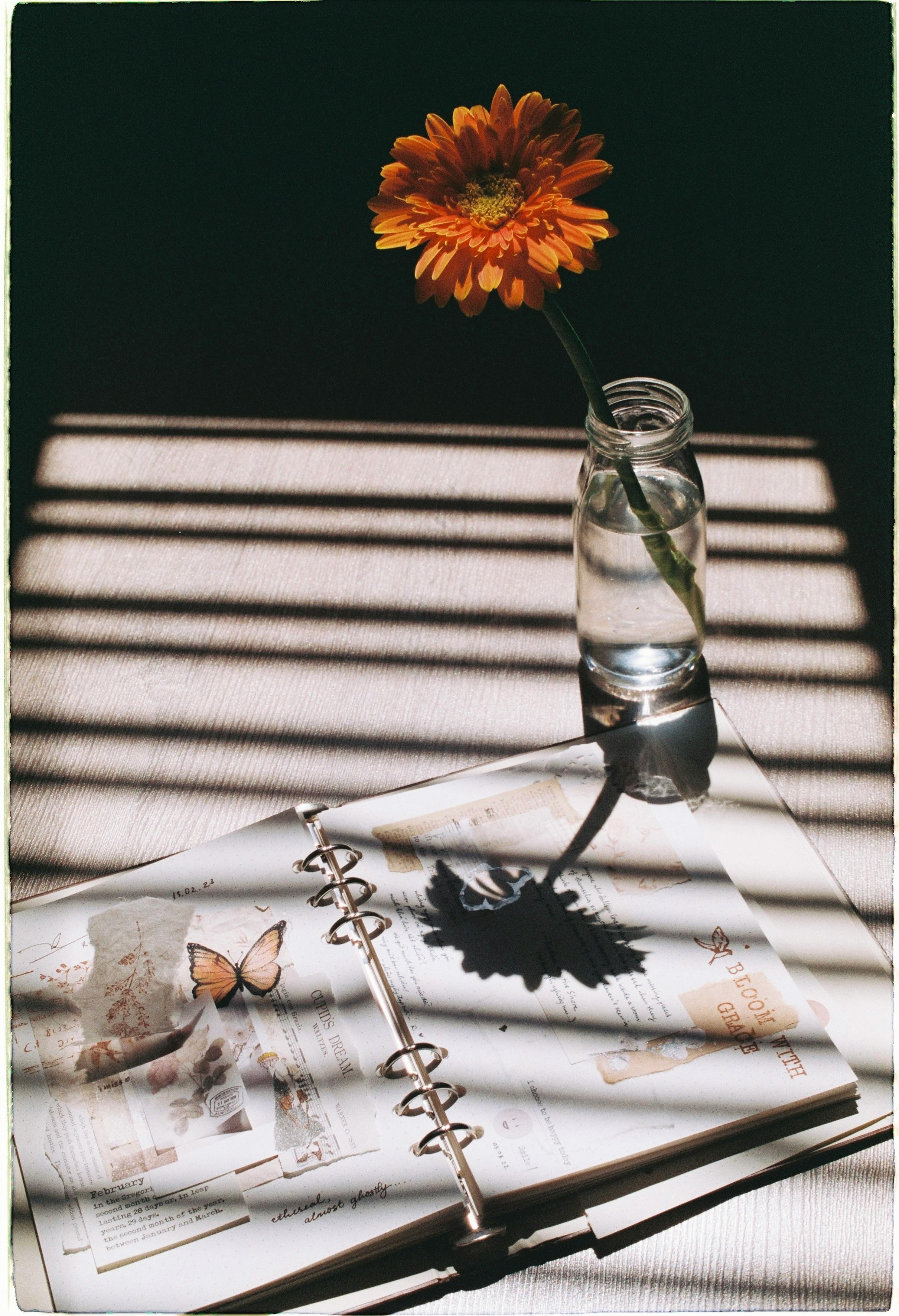A single orange flower in a vase beside an open journal in warm sunlight.
