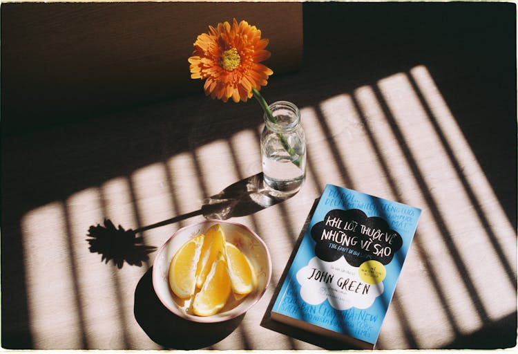 Book, Flower And Orange Slices