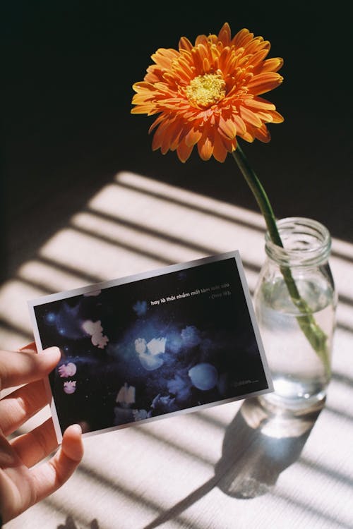 Hand Holding Postcard with Orange Flower behind