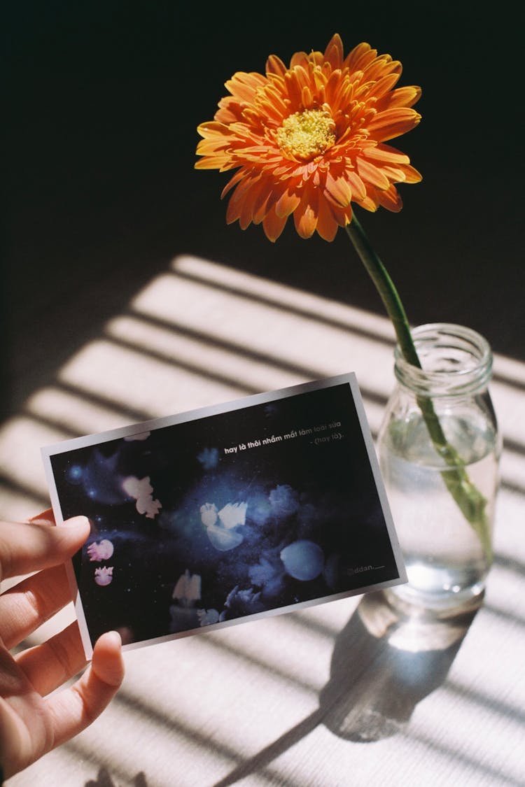 Hand Holding Postcard With Orange Flower Behind