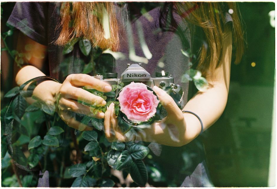 A creative double exposure featuring a camera held by hands with a rose overlay.