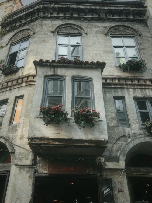 Foto profissional grátis de construção, janelas, muro