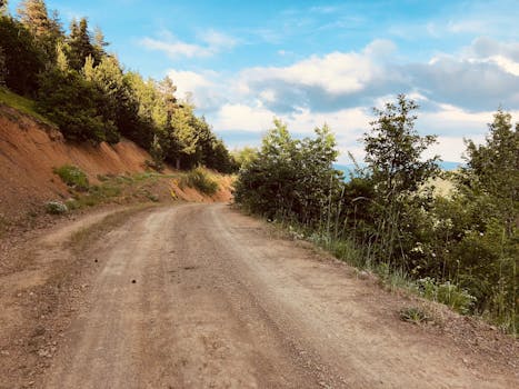 Peaceful rural dirt road winding through lush greenery in Kastamonu, Türkiye.