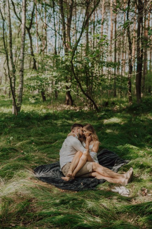 Free A loving couple sitting and embracing in a sunlit forest, surrounded by nature. Stock Photo