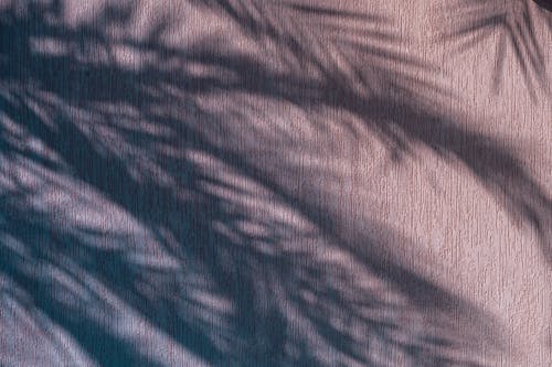 Darmowe zdjęcie z galerii z abstrakcyjny, cień, drzewo palmowe