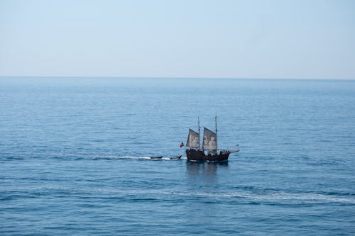Základová fotografie zdarma na téma algarve, horizont, loď