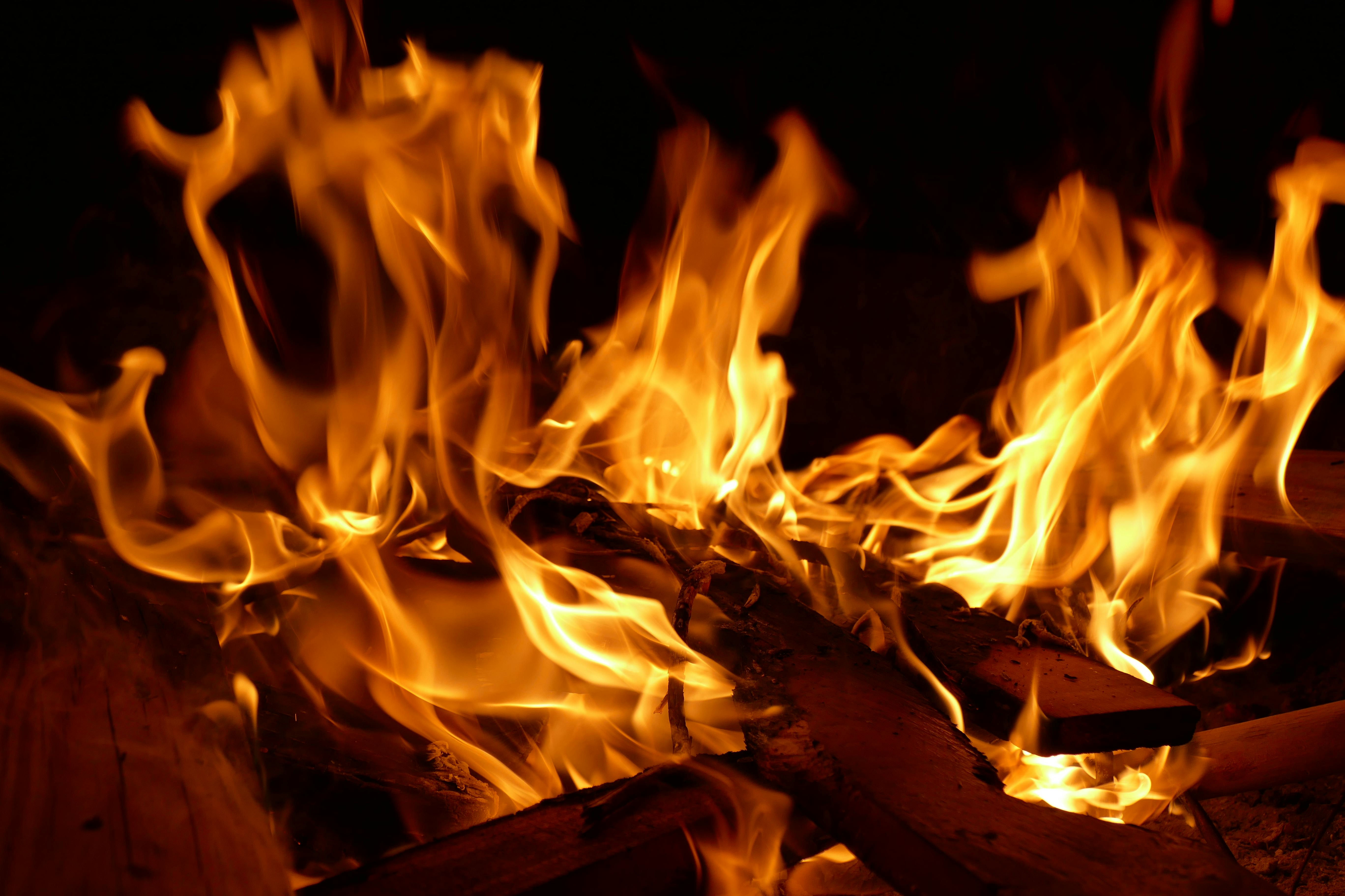 Close Up Photo of Burning Firewood · Free Stock Photo