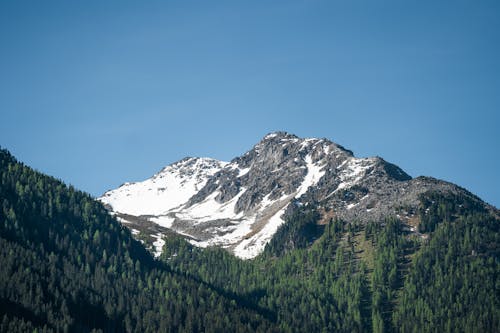 Foto profissional grátis de cadeia de montanhas, coberto de neve, floresta