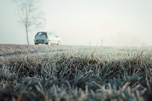 Hoarfrost on Grass and Car behind