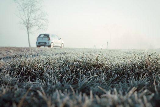Close-up of frosted grass with a distant car and tree, capturing a cold winter morning scene outdoors.