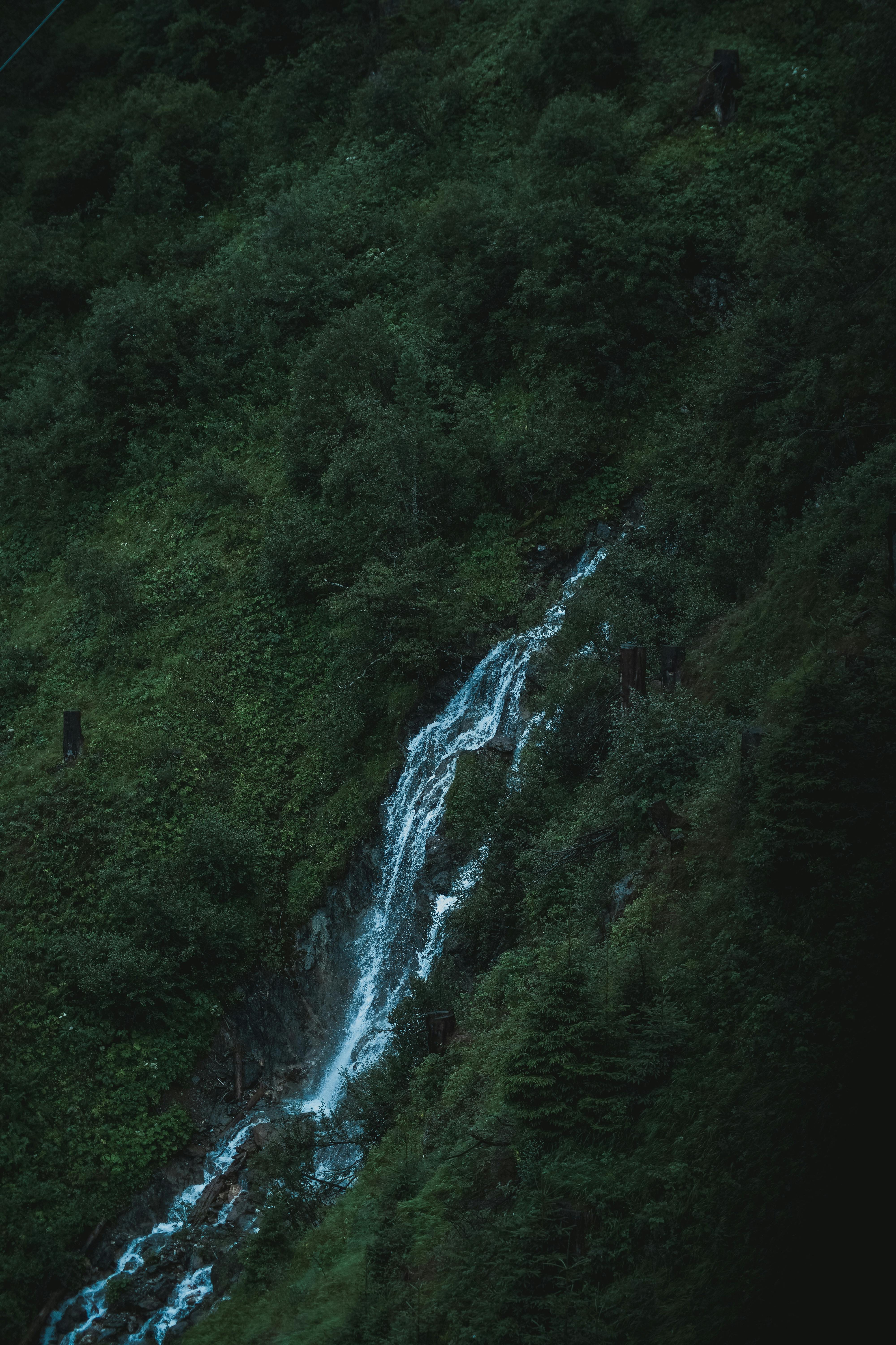 A serene waterfall cascades down a lush, green forest hillside, creating a tranquil nature scene.