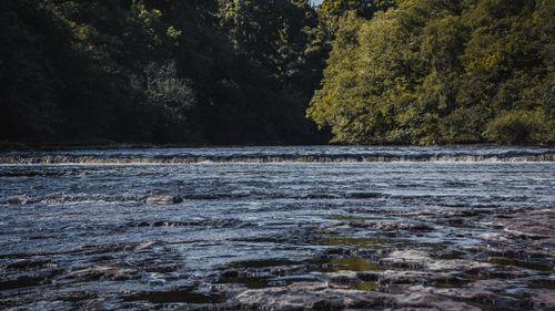 Free A peaceful river flowing through a lush forest, creating a tranquil and serene landscape. Stock Photo