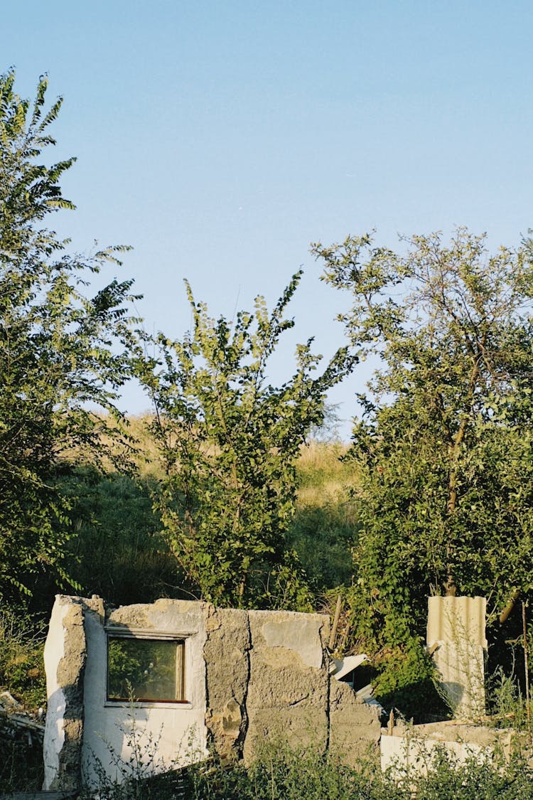 Ruins Of Rural House On Field