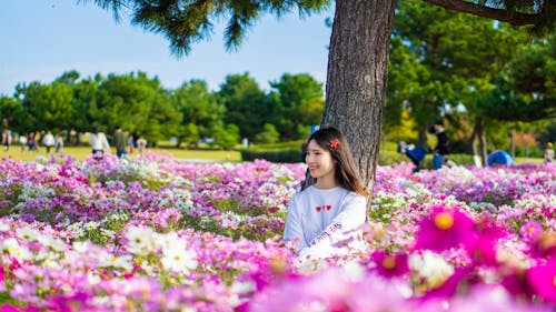 Photo of Woman Sitting In The Middle Of Flower Field