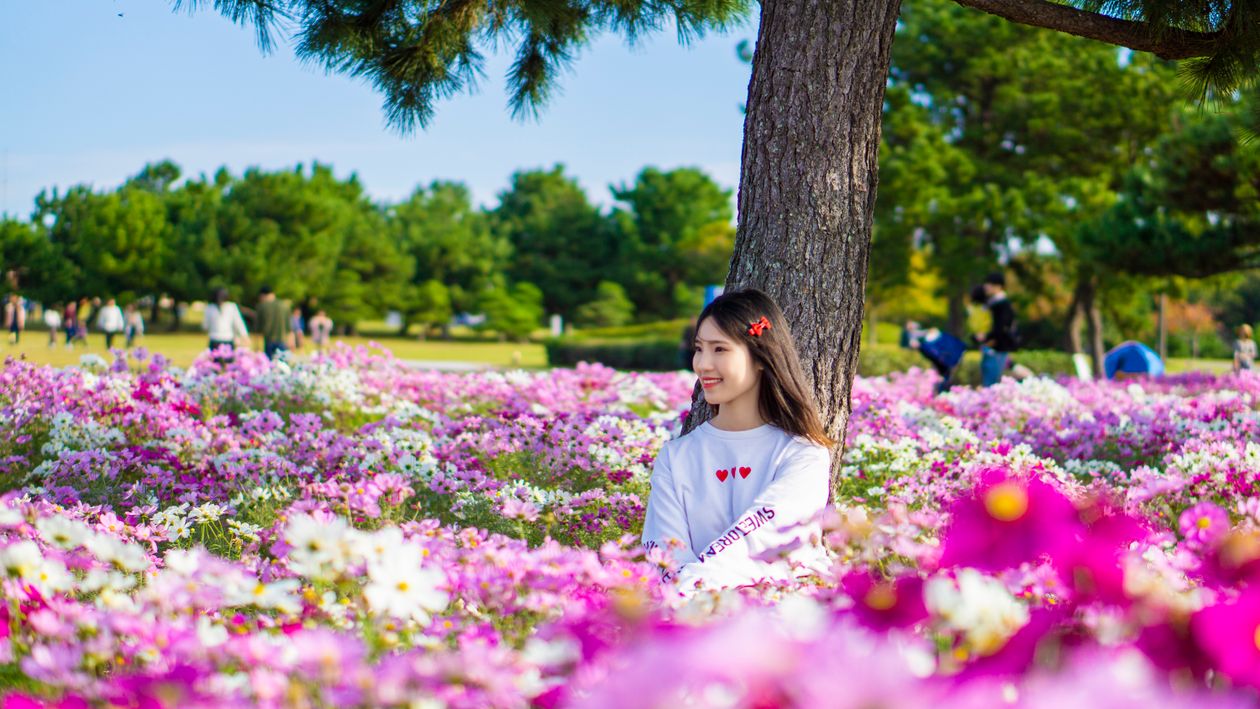 Photo of Woman Sitting In The Middle Of Flower Field · Free Stock Photo