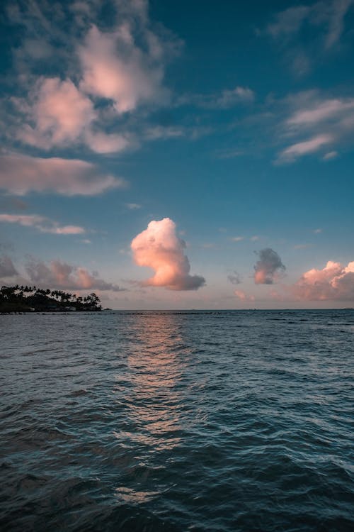 Tropical Sea Coast