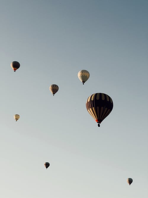 Hot-Air Balloons Flying in Clear Sky