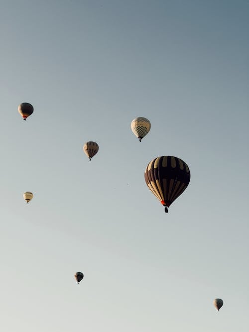 Free Hot-Air Balloons Flying in Clear Sky Stock Photo