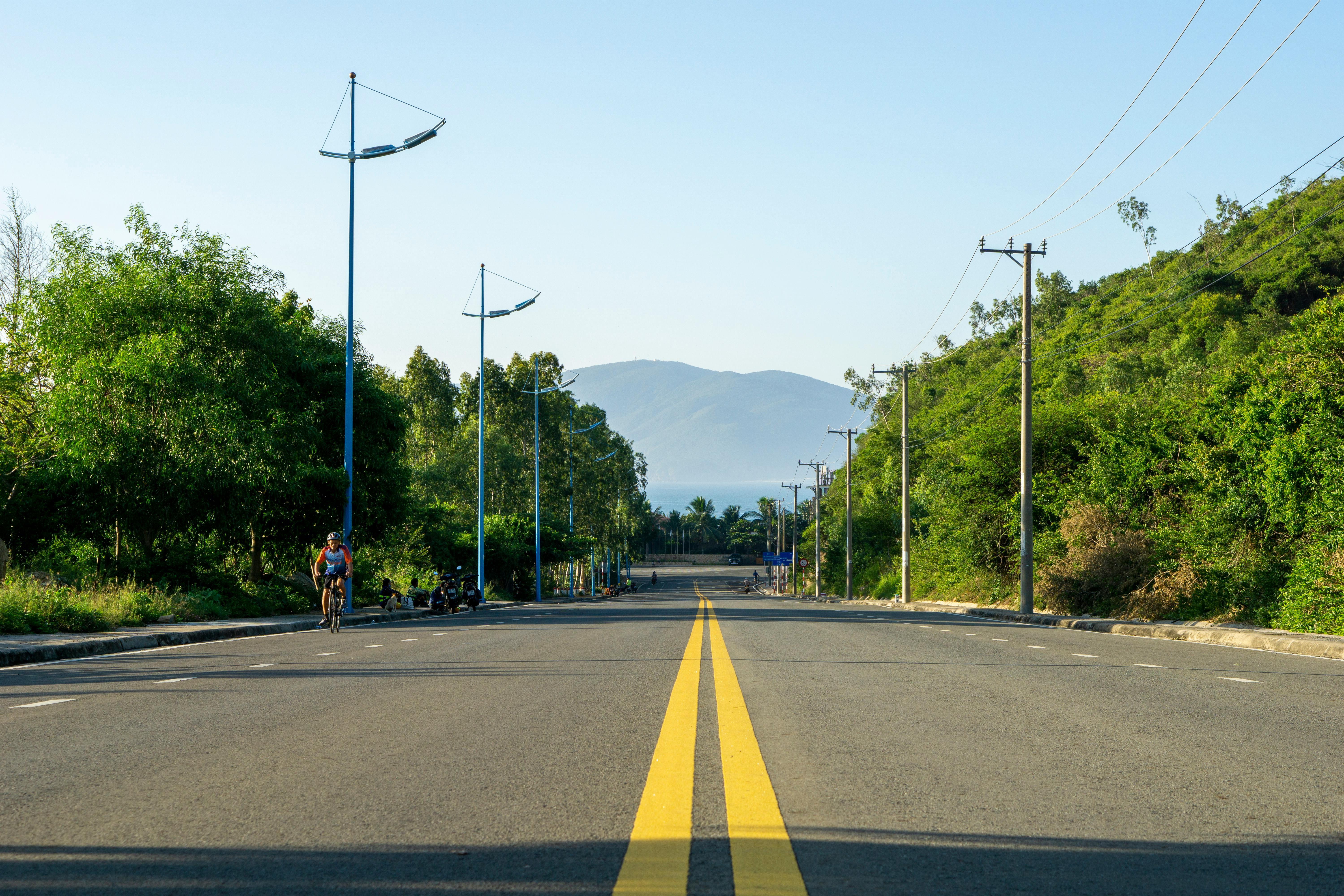 Cyclist rides on a vibrant, tree-lined road on a sunny summer day, perfect for outdoor adventures.
