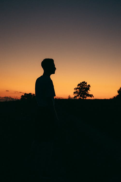 Silhouette of Tree and Man at Sunset