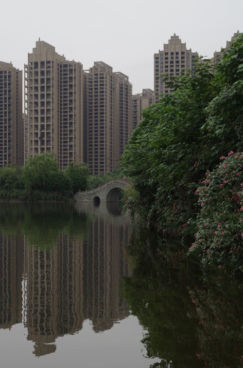 ağaçlar, Çin, dikey atış içeren Ücretsiz stok fotoğraf