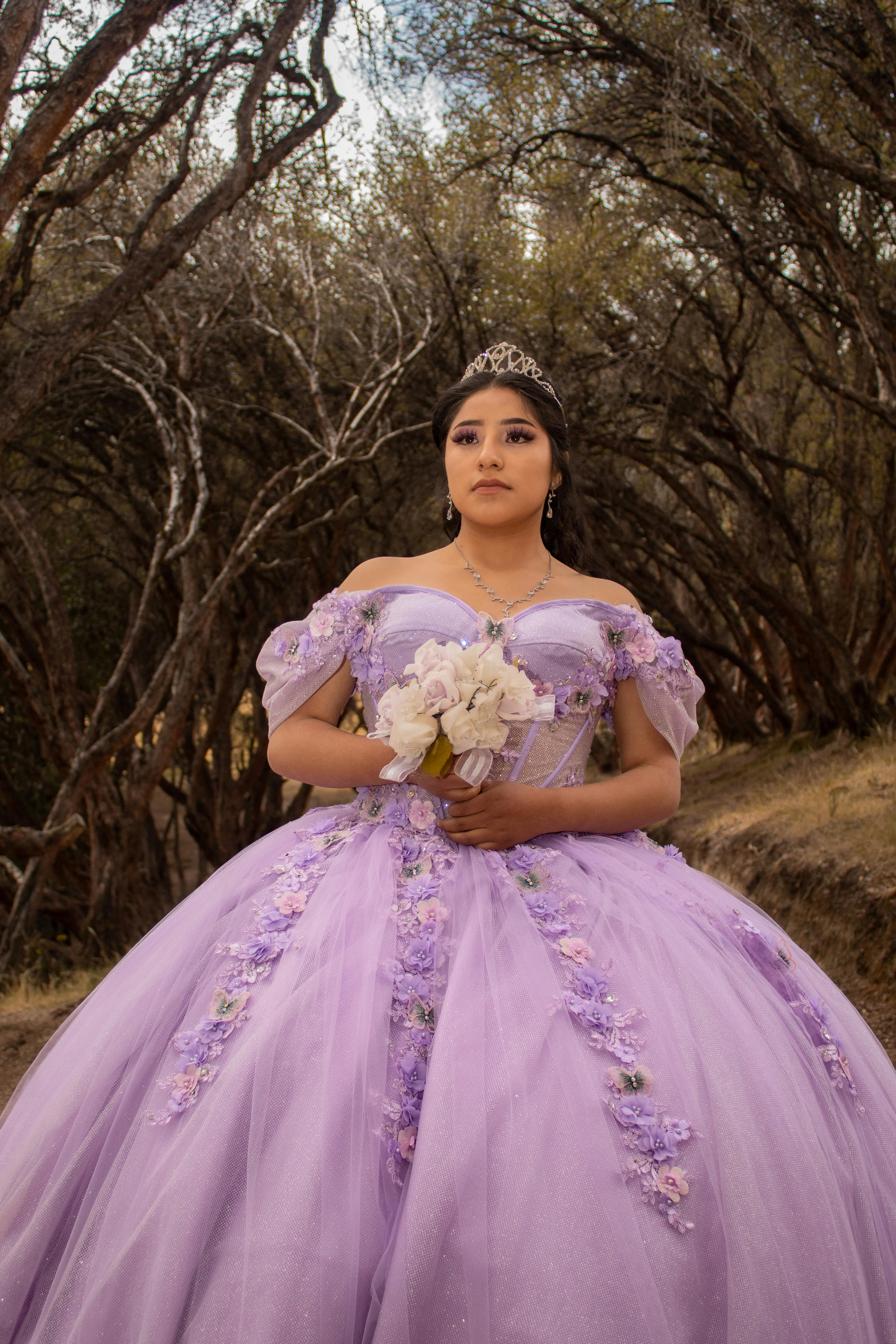 princess beautiful princess purple gown