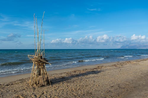 Sticks Standing on Beach