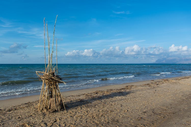 Sticks Standing On Beach