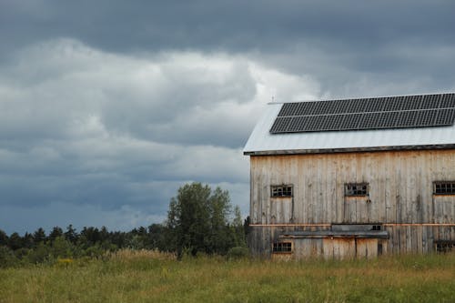 Foto stok gratis bidang, kayu, lumbung