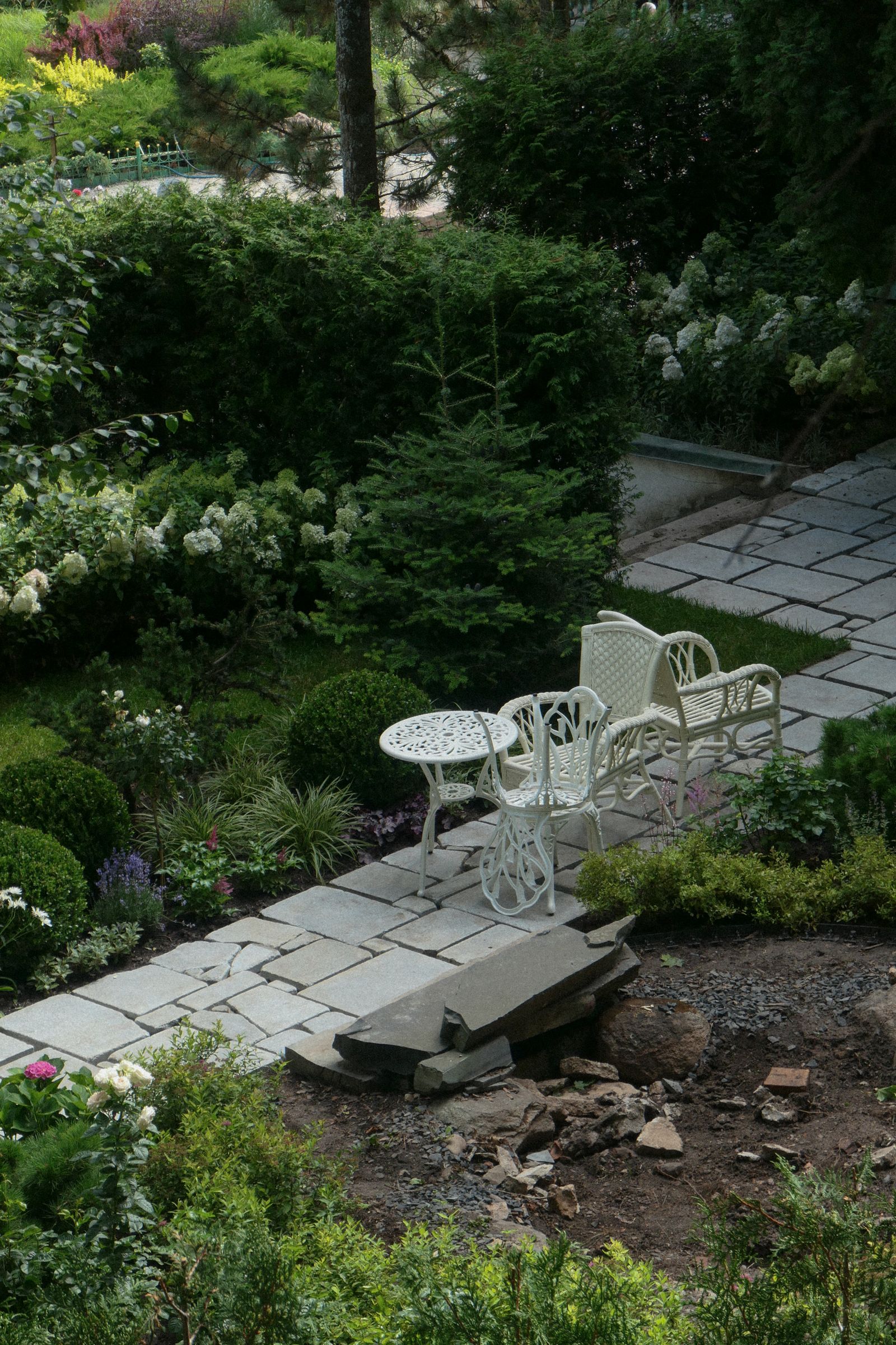 General garden view showing a paved path and patio area bordered by lush green planting
