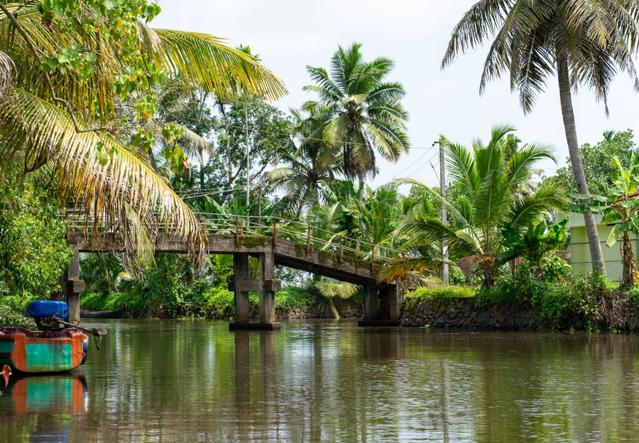 Kuttanad Region photo 5