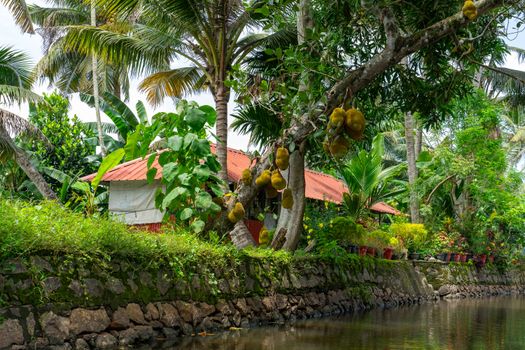 Ayurveda treatment day — Kerala