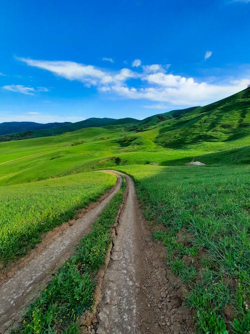 Dirt Road among Green Hills in Countryside