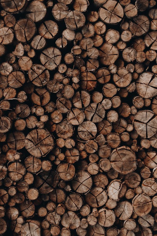 Free Woods Stacked Together Stock Photo
