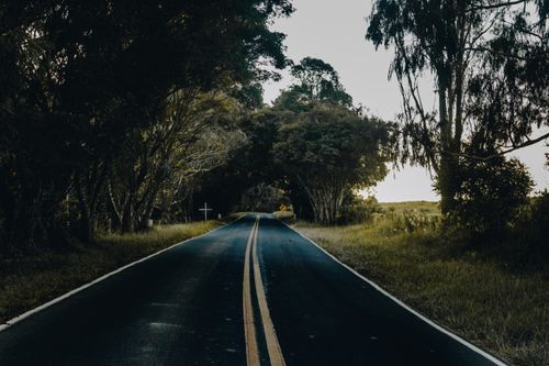 Free A tranquil forest road lined with lush trees and clear asphalt, ideal for nature lovers. Stock Photo