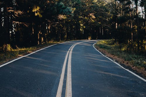 Photo of Roadway During Daytime