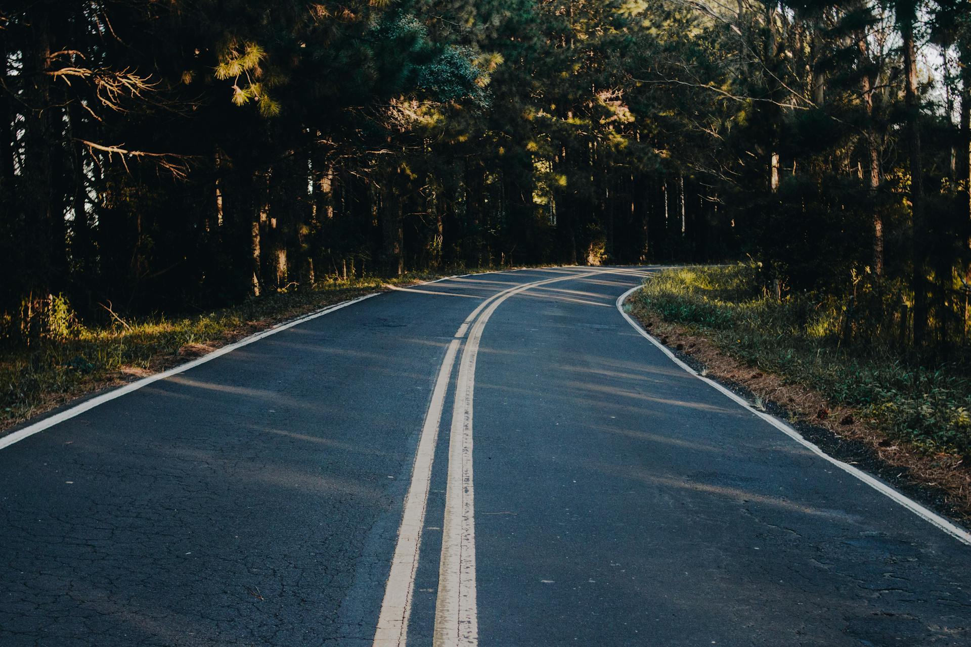 A peaceful road curving through a dense forest, perfect for travel and nature enthusiasts.