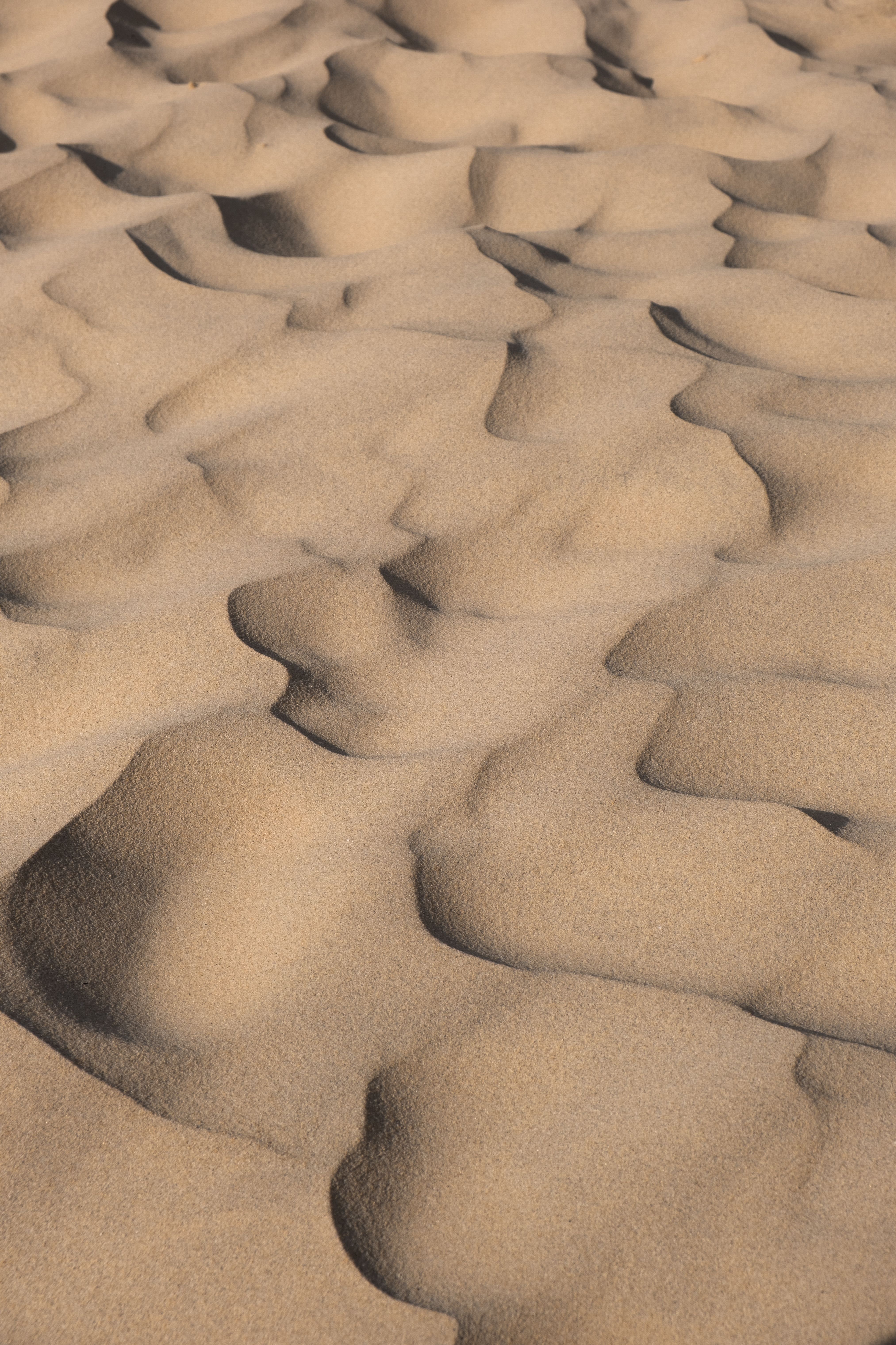 A detailed close-up of eroded sand dune formations in a barren desert landscape.