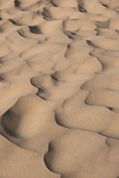 A detailed close-up of eroded sand dune formations in a barren desert landscape.