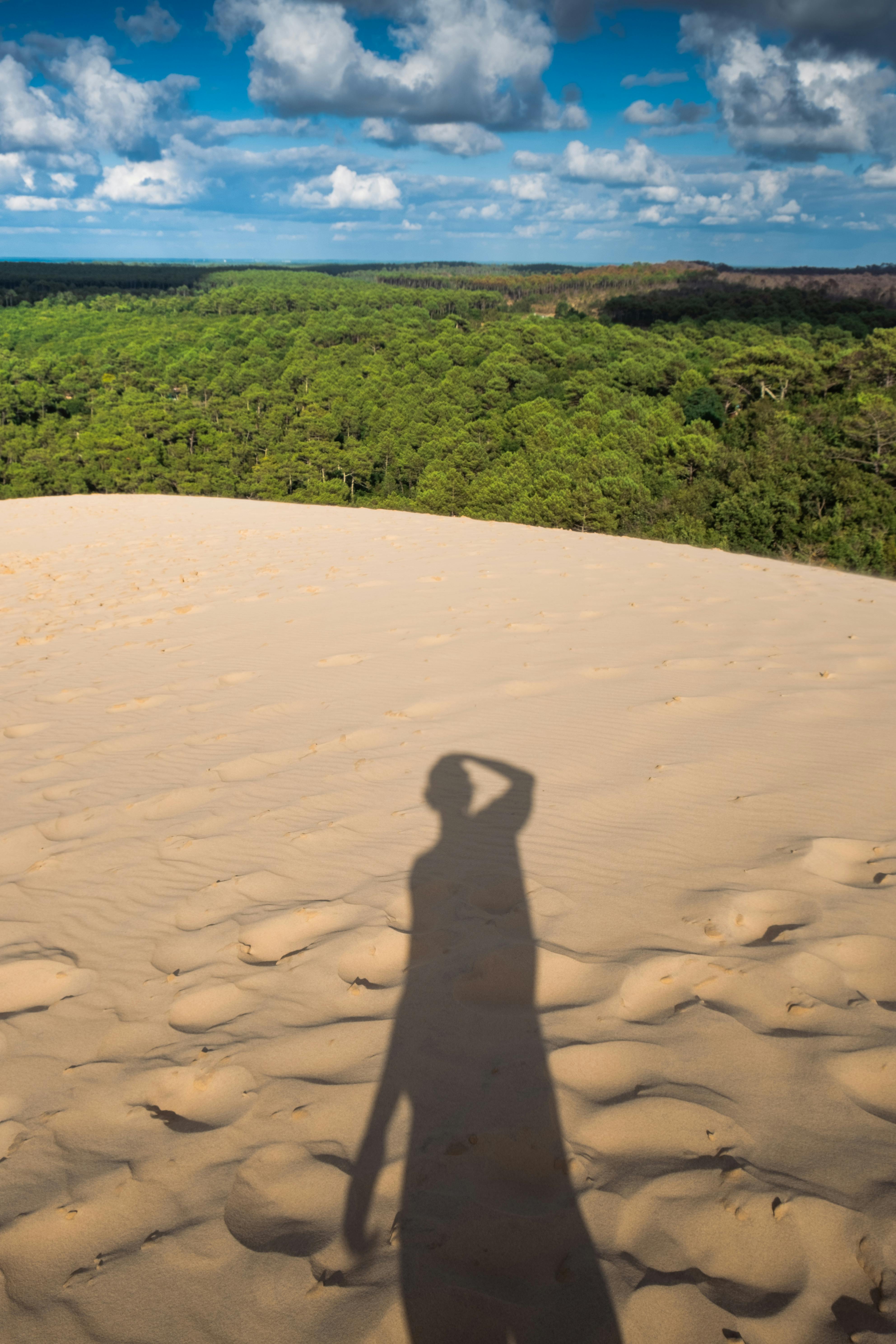 Shadow of Man on Sunlit Sand with Forest behind · Free Stock Photo