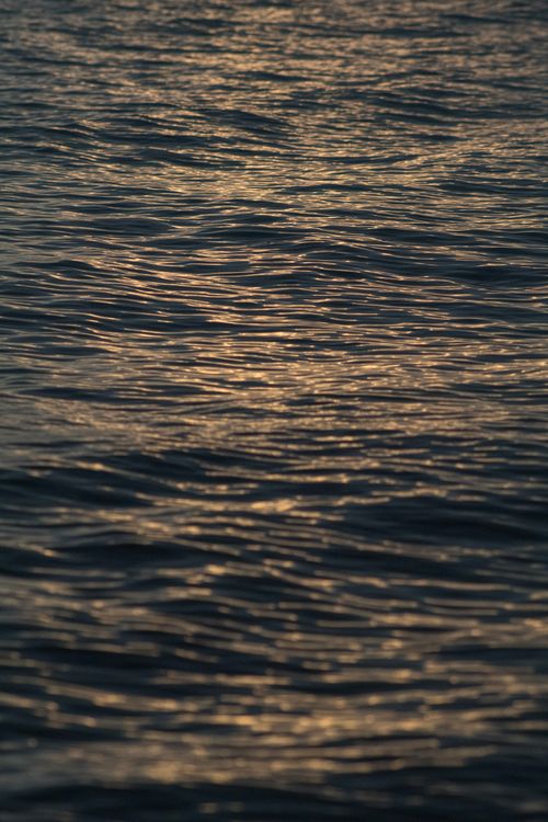 Free Calm ocean waves gently reflecting the golden hues of a sunset. Stock Photo
