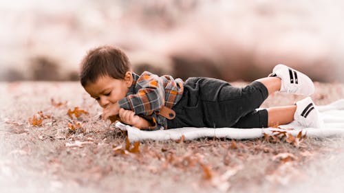 Foto stok gratis balita, bayi laki-laki, bayi lucu