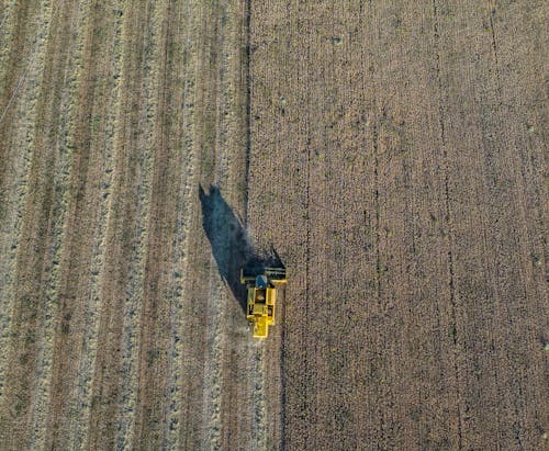 Foto stok gratis agrikultura, bekerja, bidang