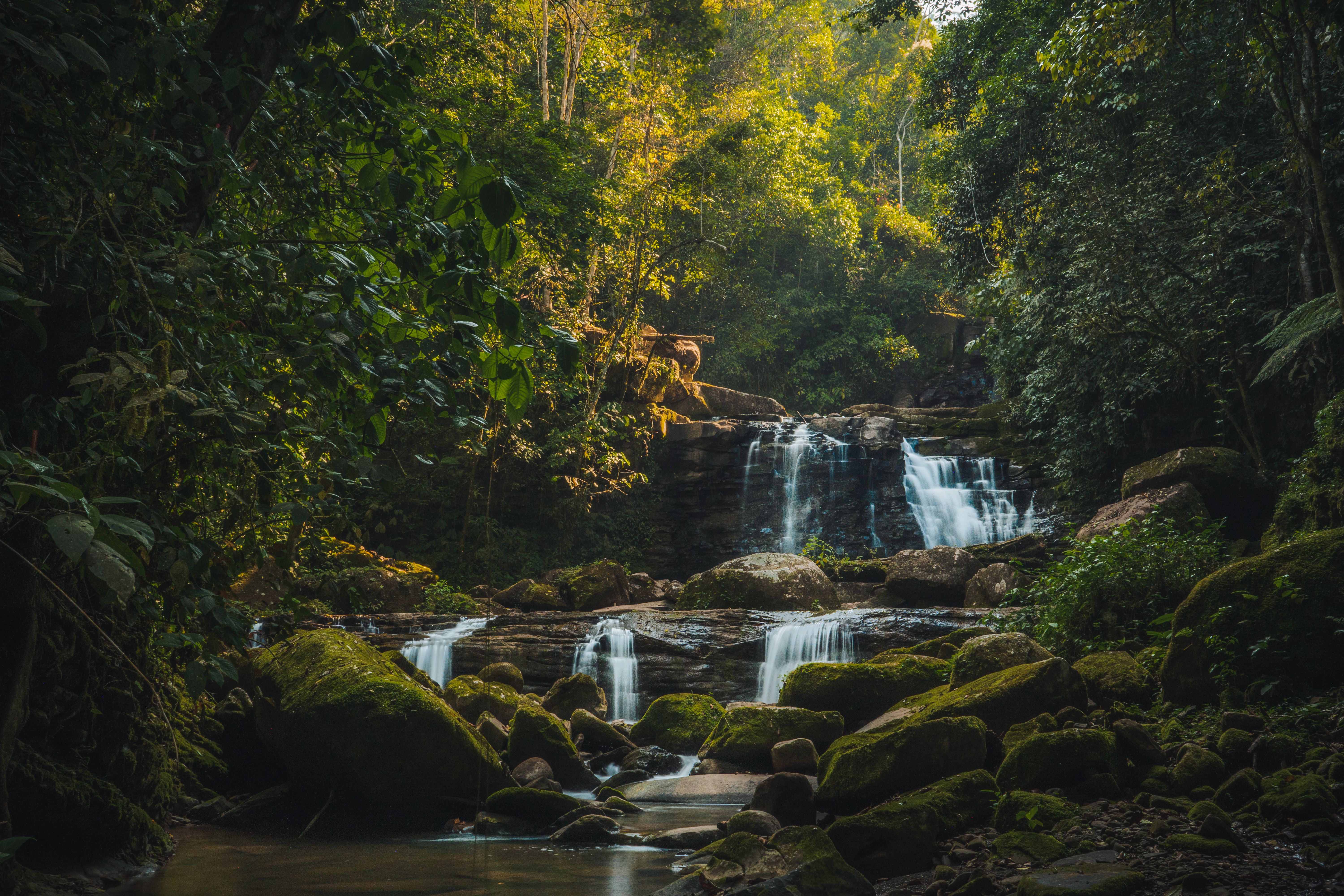 streaming discovery + — Photo by Bill Salazar on Pexels