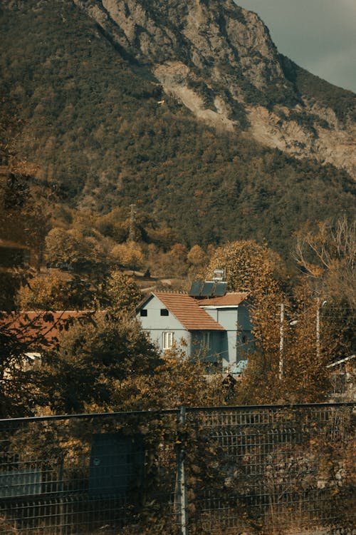 건물, 나무, 마을의 무료 스톡 사진