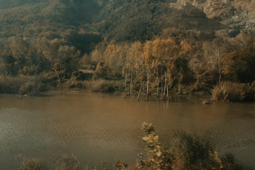 Ilmainen kuvapankkikuva tunnisteilla droonikuva, joki, luonto