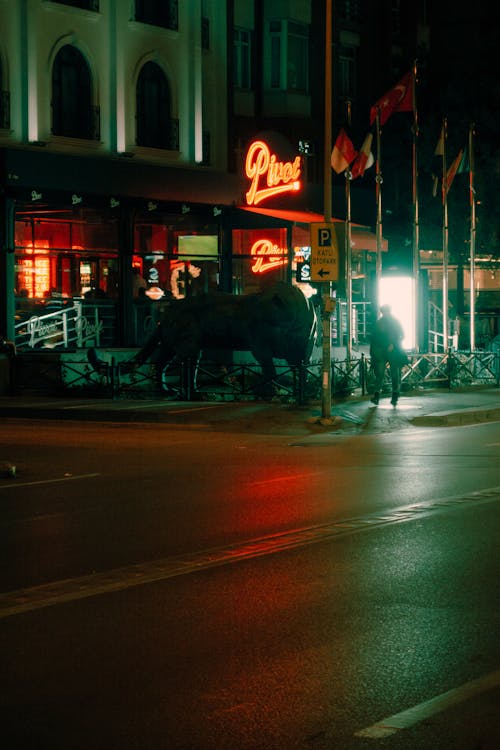 Lion Sculpture in front of a Hotel on a Night Street